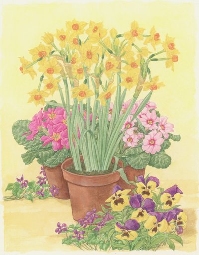 Pots of Spring Flowers, 2003 by Linda Benton